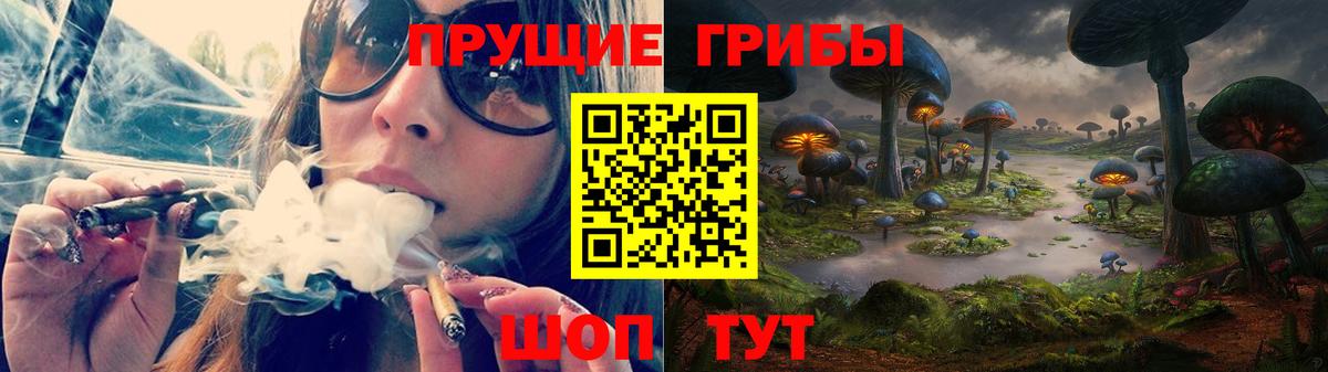 Сосновый Бор  Псилоцибиновые грибы мицелий  Вход с VPN 